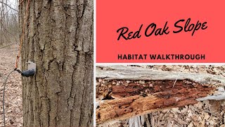 Habitats: Red Oak Slope