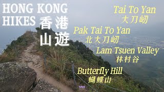 Hong Kong HIKES |  Tai To Yan(Big Knife’s Edge Ridge)^Wu Tip Shan(Butterfly Hill) ^ Lam Tsuen Valley