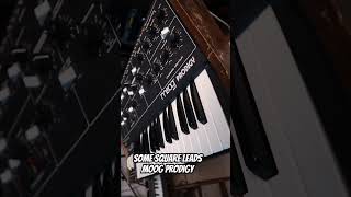 Moog Prodigy Square Leads