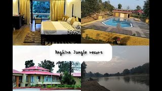 Trip from Amarkantak to Kanha#Baghira jungle resort#MPtourism#Kanha tigerreserve #kanha