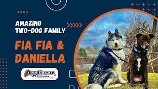 Husky & Lab mix, 11 & 4 y/o, Fia Fia & Daniella | Amazing Two Dog Family Training