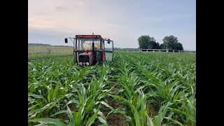 🚜 CAB-VIEW 👨‍🌾 Opryski kukurydzy 🌽 |URSUS 360 & TOLMET| #4