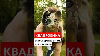 Что такое #квадробика? Очень коротко