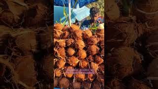 Coconut Flower (Thengai Poo) | Pallavaram Sandhai | Near Airport | Chennai Shopping