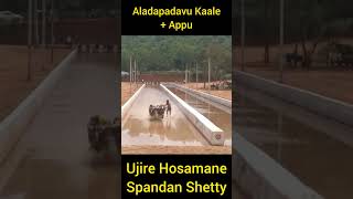 Aladapadavu Kaale + Appu + Ujire Spandan Shetty