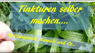 Tinkturen selber machen - Kamille, Spitzwegerich, Schafgarbe, Weißdorn, Natur Heilen Hausapotheke