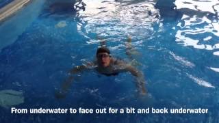 Swimming Without Stress: Keeping Your Head Above Water