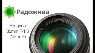 Обзор Yongnuo YN 85mm F1.8 для Nikon (YN85mm F1.8N). Бюджетный объектив для зеркальных камер