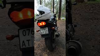 Suzuki Bandit 1200 cold start in rainy forest #suzuki #bandit #motovlog #coldstart