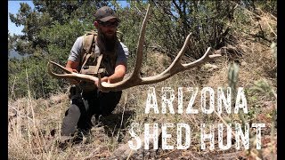 AZ Shed Hunting 2019: Elk Shed Hunting