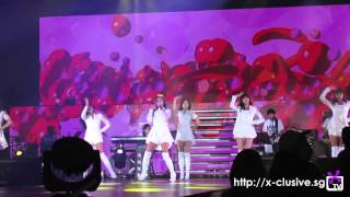 150322 APink Pink Paradise in SG: Mr Chu