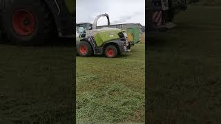 Poslední senáže 2023 | Claas Jaguar 960/ Tatra Phoenix & Joskin