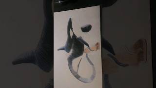 how i draw a killerwhale #orca  #shorts #color#colorpencil #speeddrawing #surreal #killerwhale #1