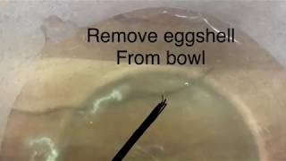 Remove eggshell from bowl