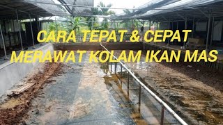 Cara cepat dan tepat merawat kolam pemancingan yang baik konsep bang jampang