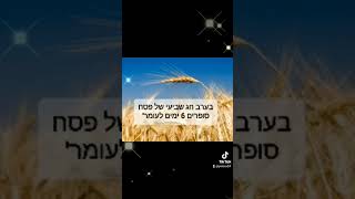 28 באפריל 2024