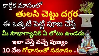 కార్తీక మాసంలో తులసి చెట్టు దగ్గర ఈ ఒక్కటి పెట్టి పూజ చేస్తే మీ సౌభాగ్యానికి ఏ లోటు ఉండదు..!