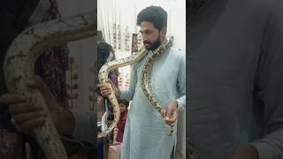 Check Is It Real? #snakevideo #alifbhatti