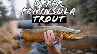 Upper Peninsula Trout Grand Slam | Brown trout, brook trout, and rainbows.   (MY FIRST BROWN!!!)