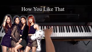 BLACKPINK - How You Like That - Piano Cover Version