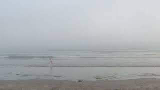 Warrnambool's Lady Bay beach covered by sea mist