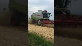 Claas Lexion 450🥹 #shorts #2023 #2k23 #harvest #harvest2023 #claas #claaslexion #czechrepublic