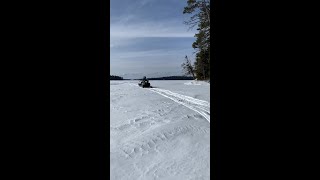 Tree cutting