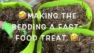 Worm Farm Stacking System Hack PART 1 LOAD Mix Precomposted Bedding DrainWork Ready For Worm Sharing