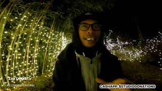 ZAKTAWKSTV GOES TO THE FESTIVAL OF LIGHTS AT THE CINCINNATI ZOO!