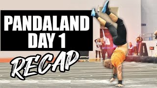 Panda-Land Day 1 - Recap 🐼🐼🐼