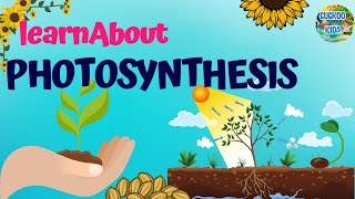 Photosynthesis| Detailed explanation|