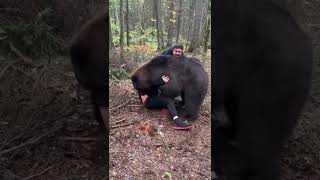 They got into a wrestling match with a full grown bear‼️😬😳😱🐻 #grizzlybear #bear