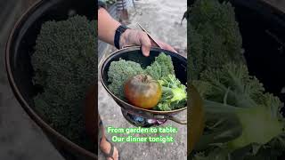 Fresh from Garden to Table. Our dinner tonight. Organic gardening