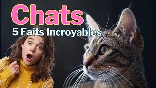 🐾 5 Secrets Incroyables sur les Chats ! 🐾