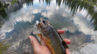 CAMP, CATCH and COOK! (Backpacking the Trinity Alps) (PART 1) *Fly Fishing + more!