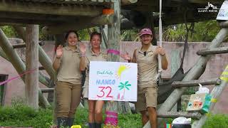 Orangutan Celebrates 32nd Birthday