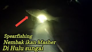 Spearfishing-Nembak ikan Masher Di Hulu Sungai