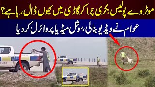 Motorway Police Bakri Chura Kar Gaari Mein Kyun Daal Rahay ? | Awaam Ne Video Bana Li ||