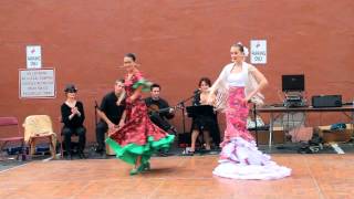 Alegre Flamenco Promo