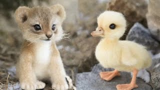 Cutest baby animals video compilation cute moment of the animals - cute animals