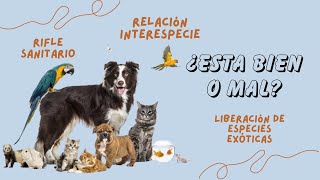 T2EP10 Mi GATO 🐈 mató a mi REPTIL 🦎y Los animales EXÓTICOS en CAUTIVERIO deben ser LIBRES ‼️🤨