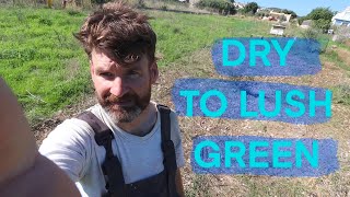 Dried out lot becomes lush pasture on the Mediterranean coast