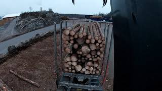 Unloading a load of Timber From a Timbertruck #6