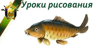 Как научиться рисовать рыбу.  Урок рисования карпа.  Fish