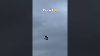 Respect # I can fly #shortsvideo