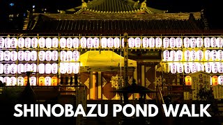 NIGHT WALK IN HIDDEN OASIS OF TOKYO 🇯🇵 SHINOBAZU POND  | BEST THINGS TO SEE IN JAPAN