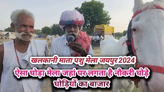 Nukra ghoda Mela Khalkani | चित्तौड़ के कपासन से लाया नुकरे बच्चे | मारवाड़ी घोड़ा मेला