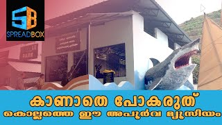 കൊല്ലത്തെ അപൂര്‍വ മ്യൂസിയത്തിന്റെ വീഡിയോ കാണൂ... | Junk Le Park | Punalur