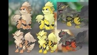 FULL GROWLITHE EVOLUTION TEAM! Normal/Shiny Growlithe , Arcanine, arcanine, Arcanine-Hisui