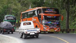 artis bus telolet ada corong atas warna merah unik